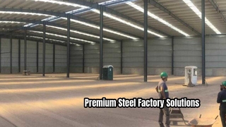 Professional Steel Structure Factory arehouse Building Solutions