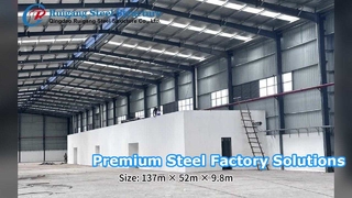 Professional Steel Structure Factory Design and Construction