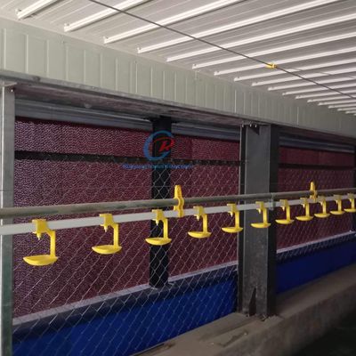 Durable Steel Structures Manufacturing Custom Galvanized Steel Livestock Buildings