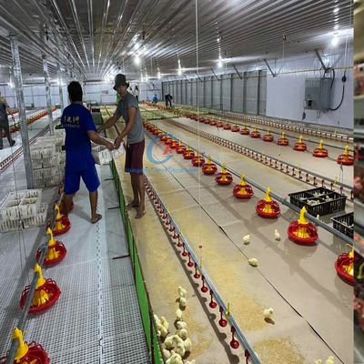 Modern Q235 Q345 Steel Structure Poultry House For Efficient Farming
