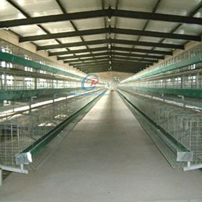 Galvanised Steel Structure Poultry House Customized With Insulated Panels