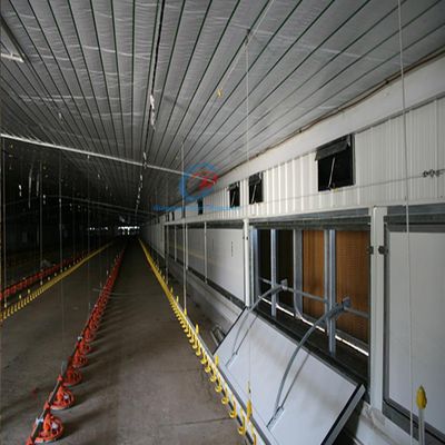 Poultry Farm Steel Structures , Q235 Q345 Steel Cattle Buildings