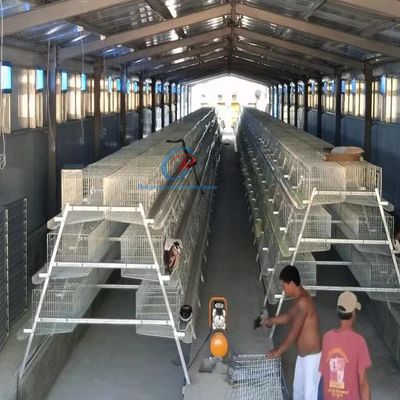 Customized Steel Structure Poultry House Fire Resistant For Dairy Farm
