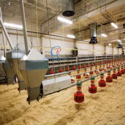 Prefab Steel Structure Poultry House Customized Steel Frame Chicken Coop