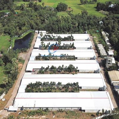 Galvanized Steel Structure Poultry House Building Farm Chicken Coop Steel Frame Prefab