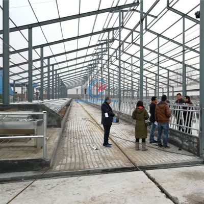 Light Steel Structure Cow Shed Prefabricated Steel Frame Farm Buildings