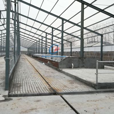 Durable Erecting Steel Frame Building Customized Steel Frame Farm Buildings