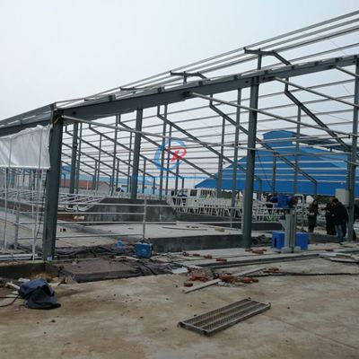 Prefab Steel Cattle Sheds , Modern Steel Structure Farm Building