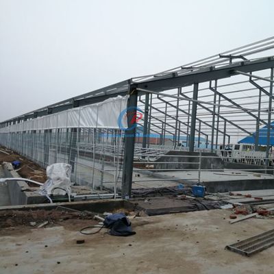 Prefabricated Steel Structure Cow Shed Customized Steel Frame Shed
