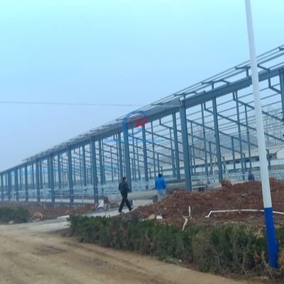 Prefab Steel Structure Shed , Natural Ventilation Metal Shed Buildings