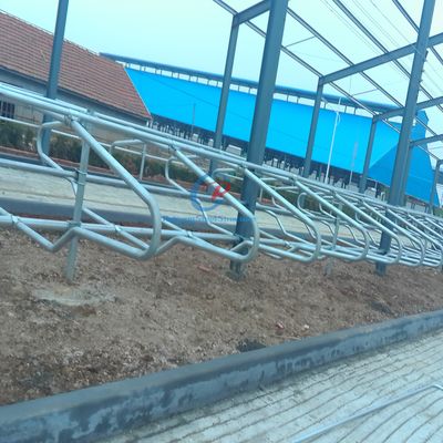 Modern Steel Structure Cow Shed Sustainable Steel Frame Farm Buildings