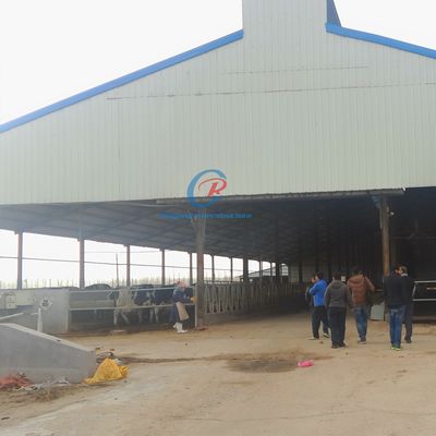 Natural Ventilation Steel Structure Cow Shed Comfortable Steel Structure Livestock Shed