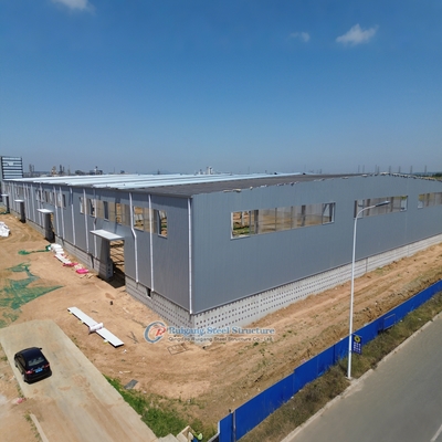 Custom Steel Structure Warehouse with Translucent Panels for Natural Lighting