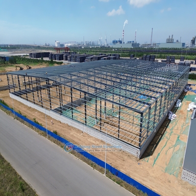 Custom Steel Structure Warehouse - Galvanized or Painted, 50+ Year Lifespan