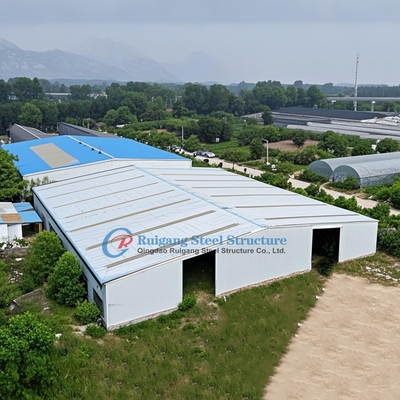 Steel Structure Godown for Africa Industrial Store Building Steel Structure