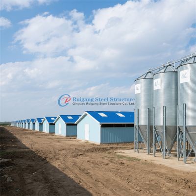 Prefabricated Steel Structure Engineer Building Poultry Farm Chicken House