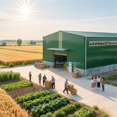 Customizable Prefabricated Steel Structures for Warehouses and Malls