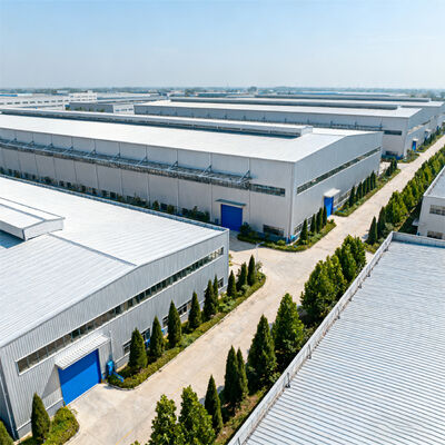 Hot DIP Galvanized Modern 2000sqm Painted Steel Structure Building